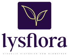 Color logo - no background MAILSize